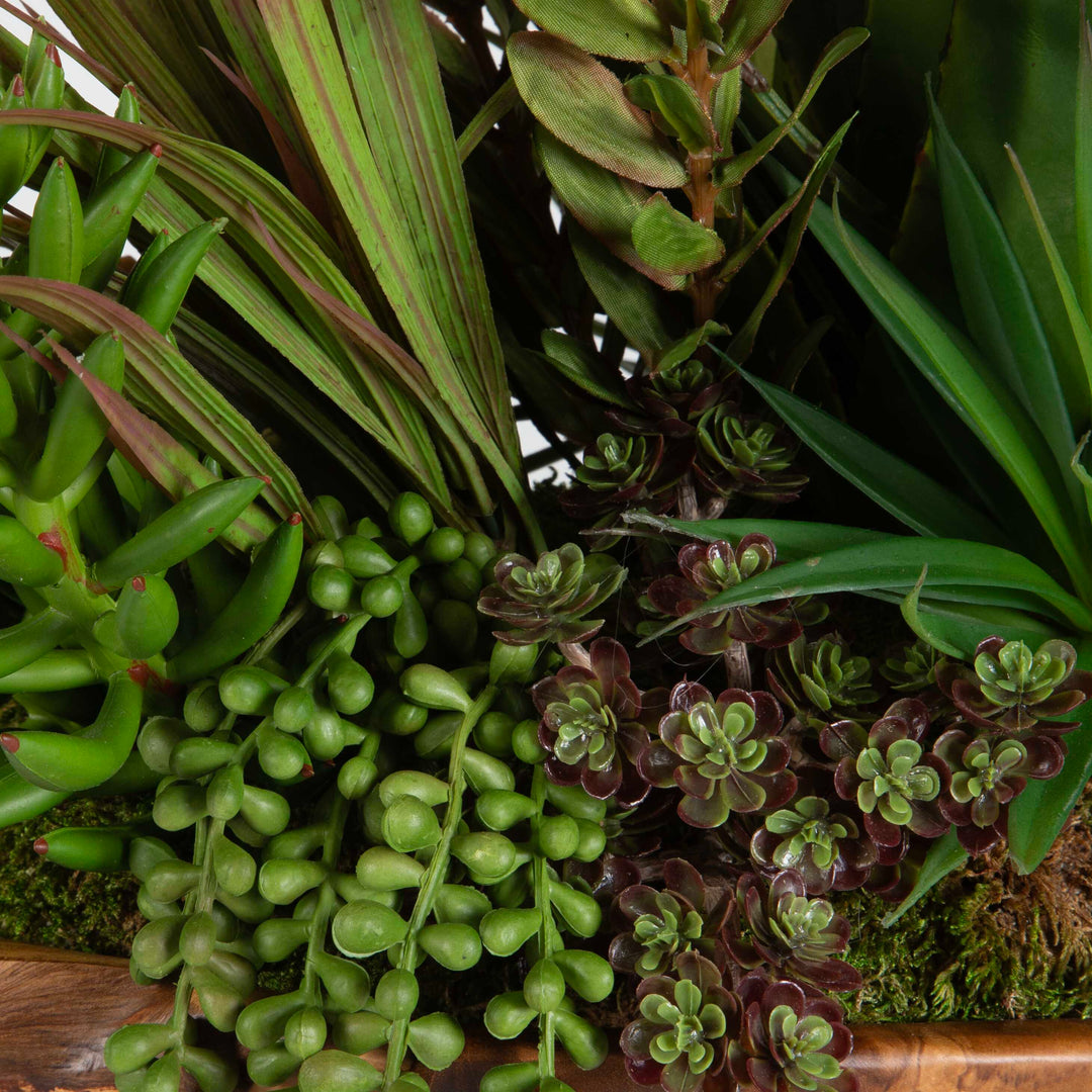 Uttermost Salar Succulents In Teak Bowl