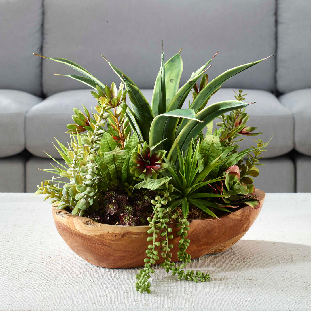 Uttermost Salar Succulents In Teak Bowl