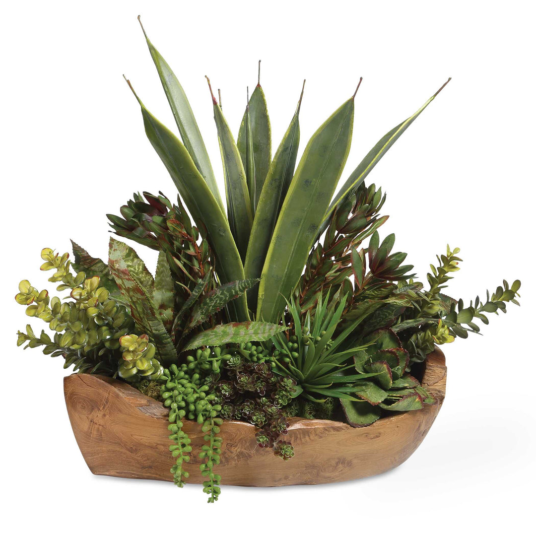 Uttermost Salar Succulents In Teak Bowl