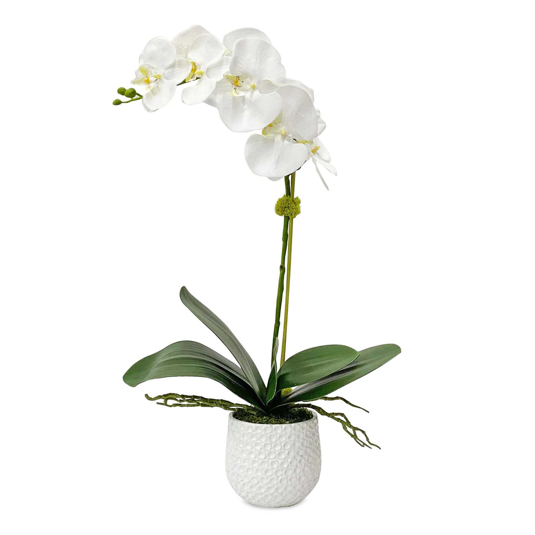Uttermost Cami White Orchid