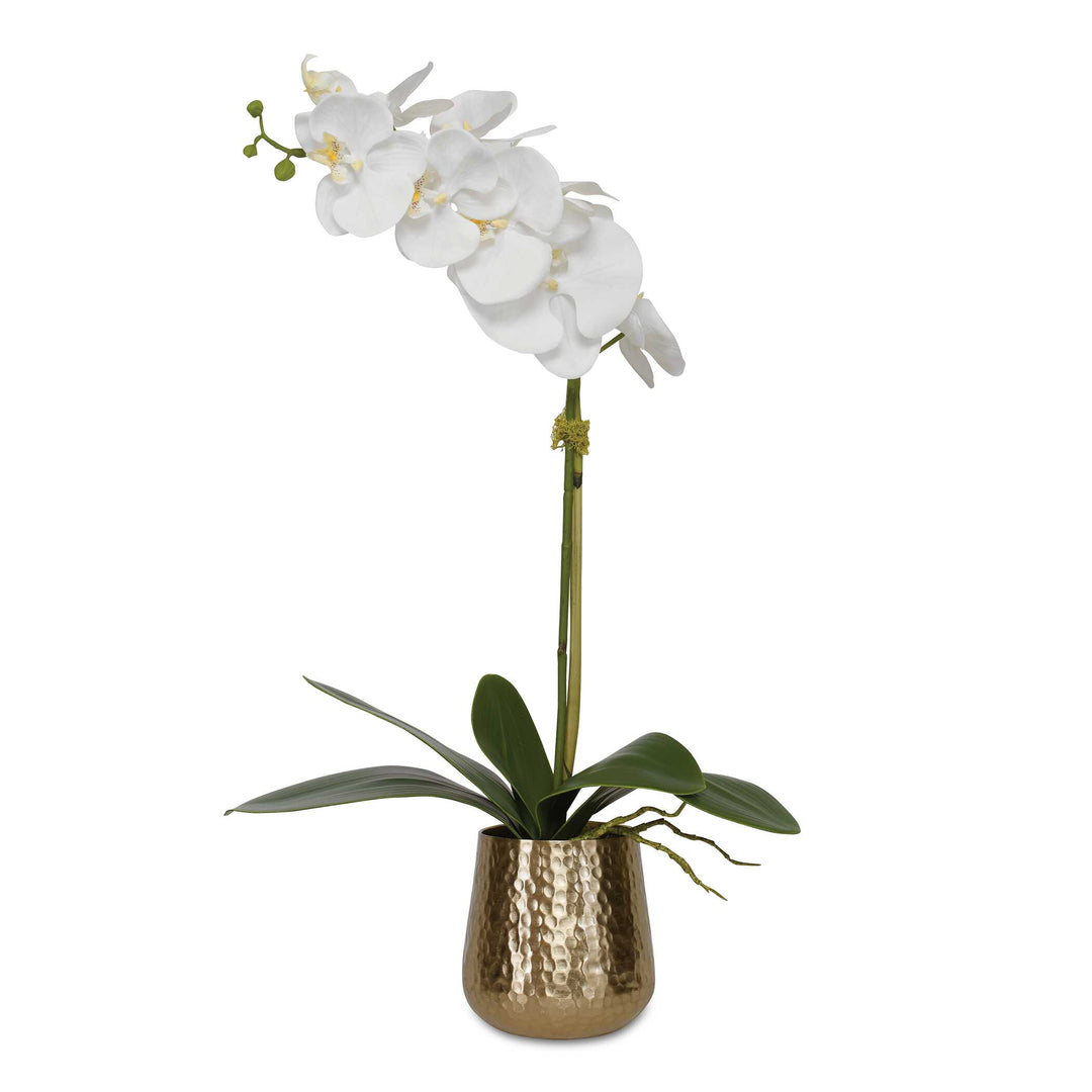 Uttermost Cami Orchid With Brass Pot