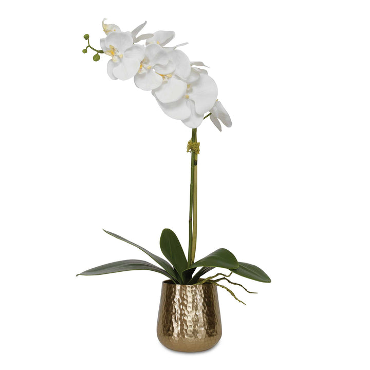 Uttermost Cami Orchid With Brass Pot