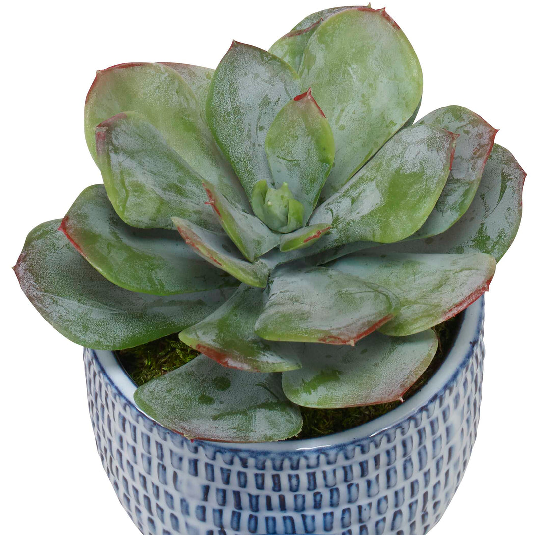 Uttermost Puebla Greenery In Blue & White Pots Set/3