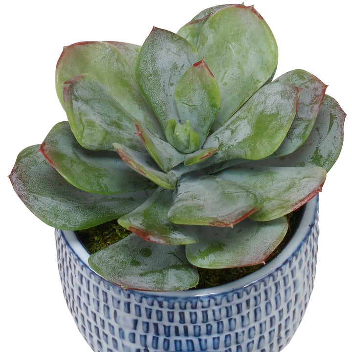 Uttermost Puebla Greenery In Blue & White Pots Set/3