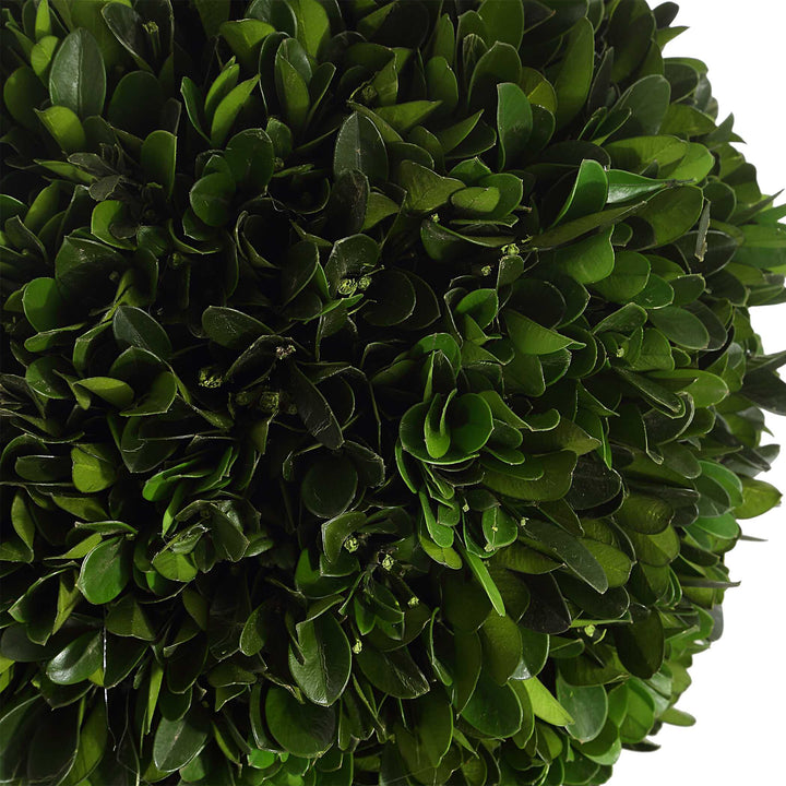 Uttermost Preserved Boxwood Triple Topiary