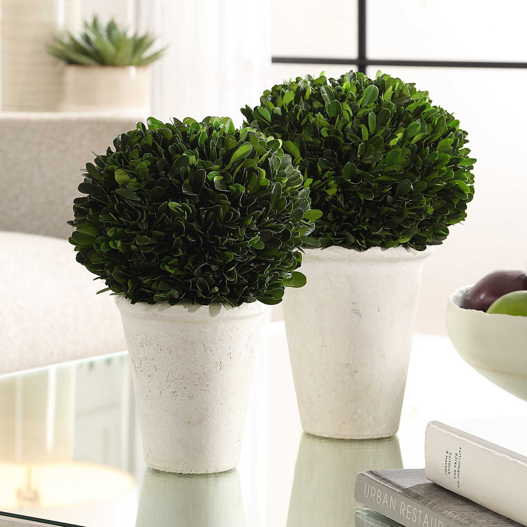 Uttermost Preserved Boxwood Domes Set/2