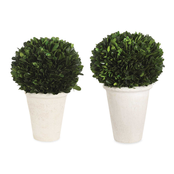 Uttermost Preserved Boxwood Domes Set/2
