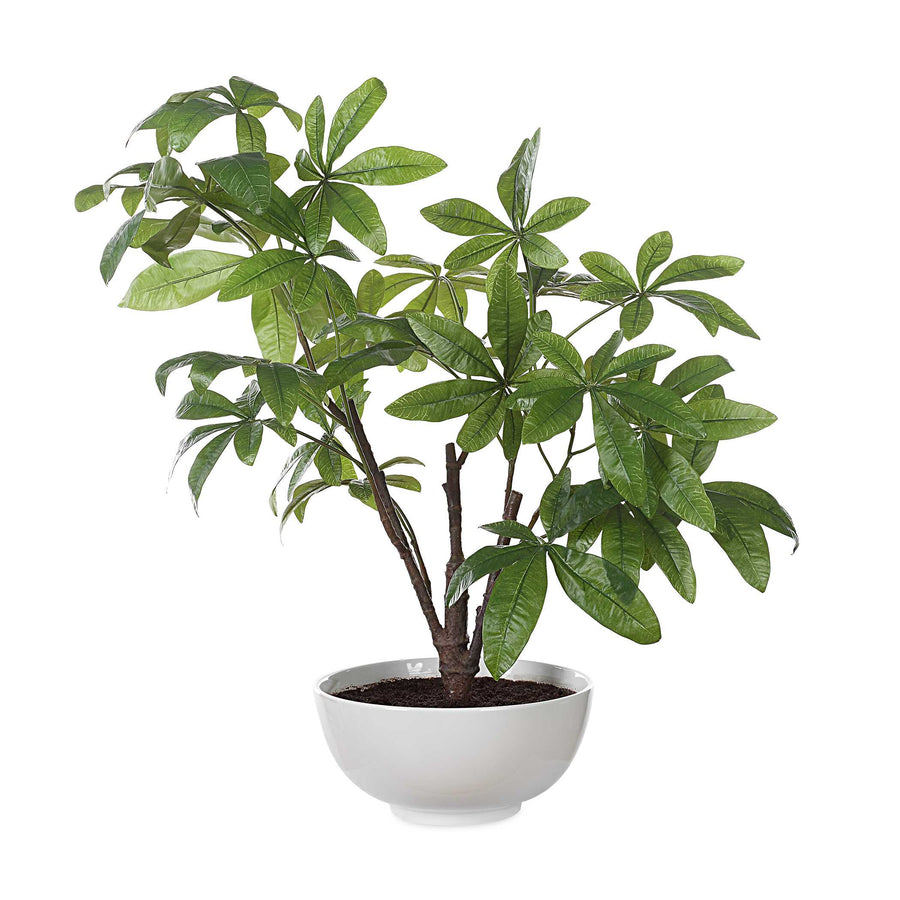 money tree customer service number Uttermost Pachira Money Tree