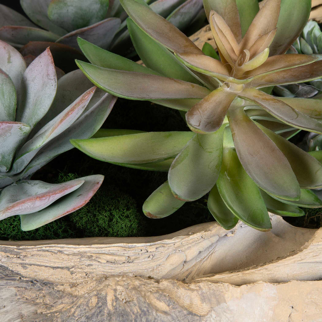 Uttermost Seaside Breeze Succulents