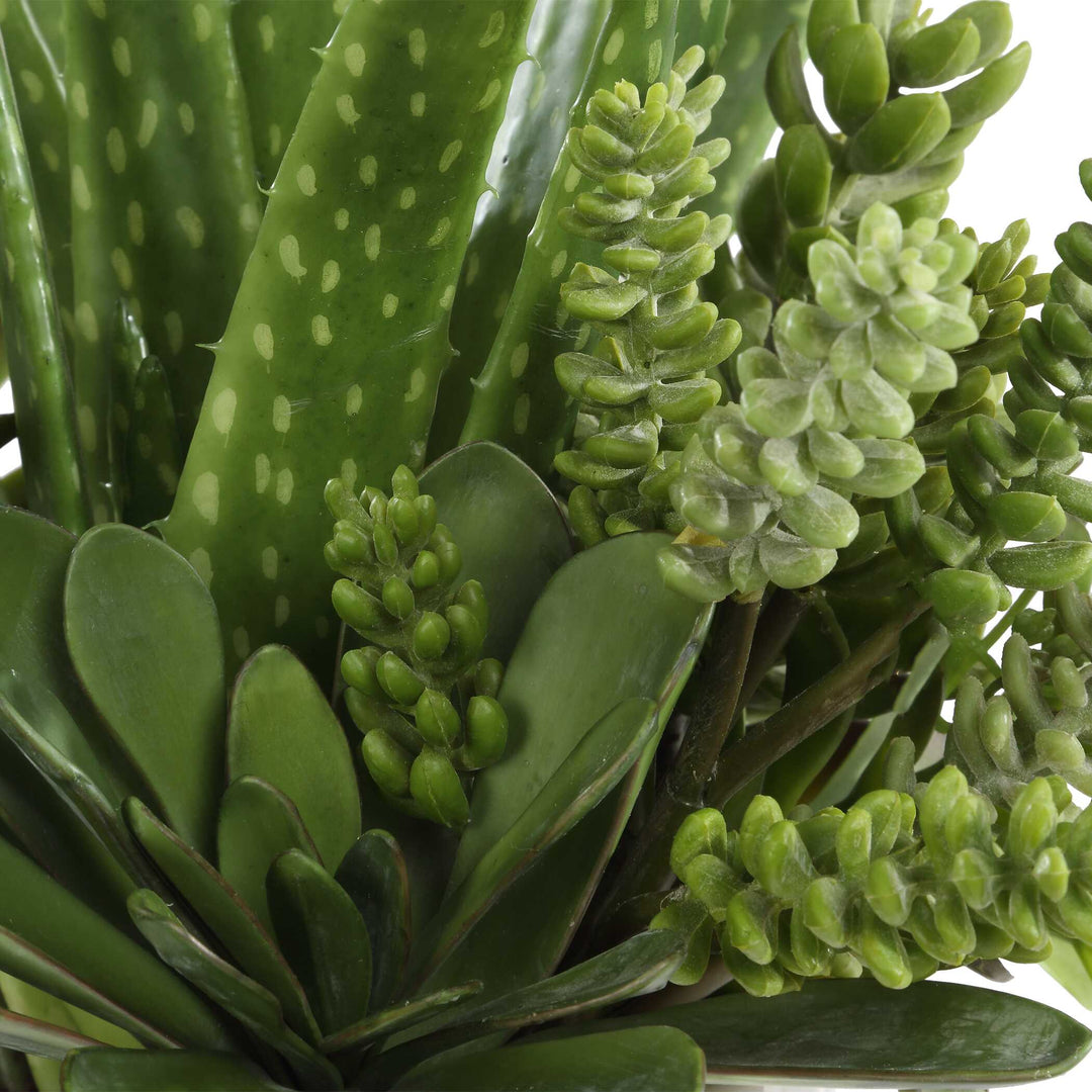 Uttermost Sundown Succulent Accent Planter