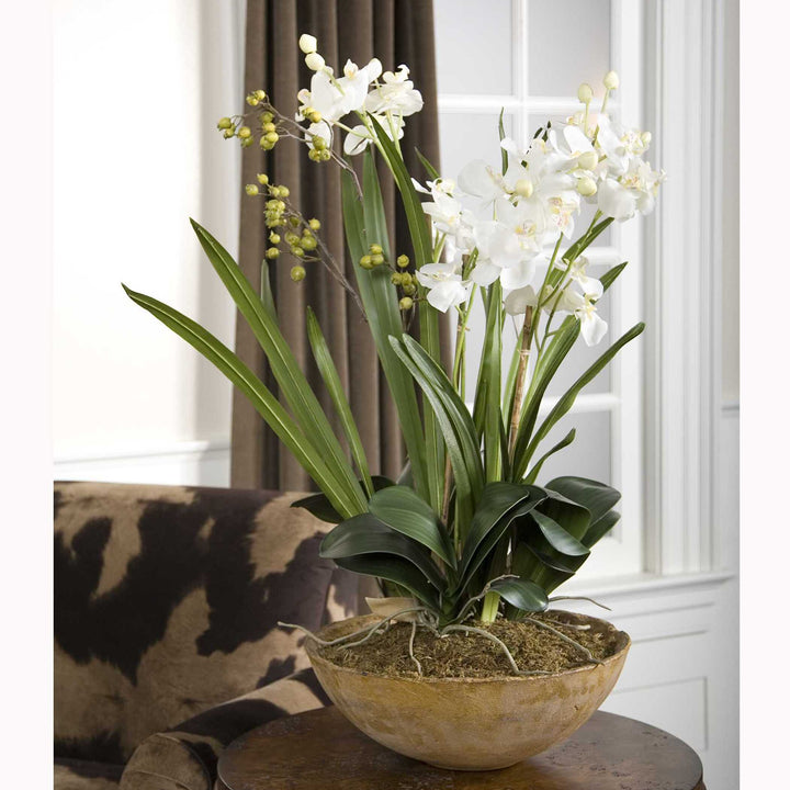 Uttermost Moth Orchid Planter