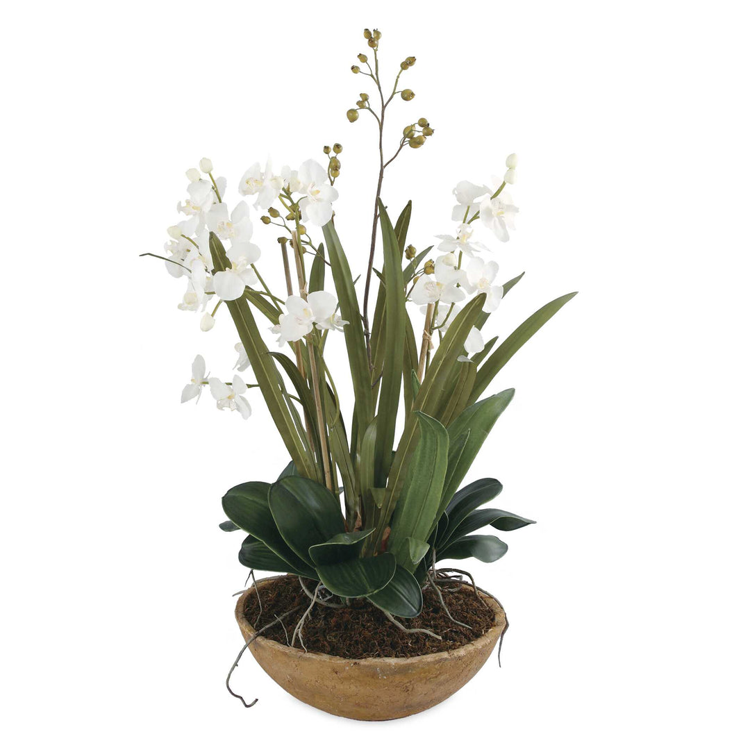 Uttermost Moth Orchid Planter