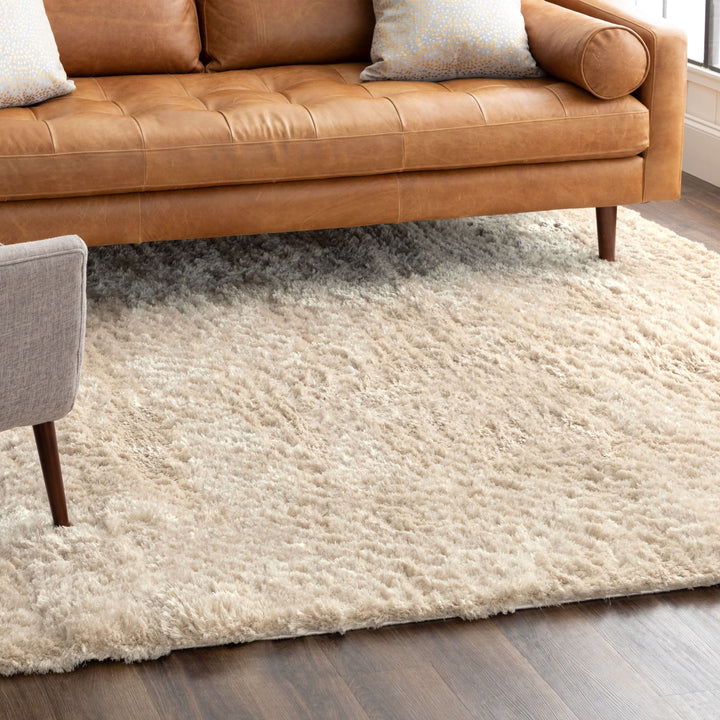 R1148-302 Karastan Billow Shag