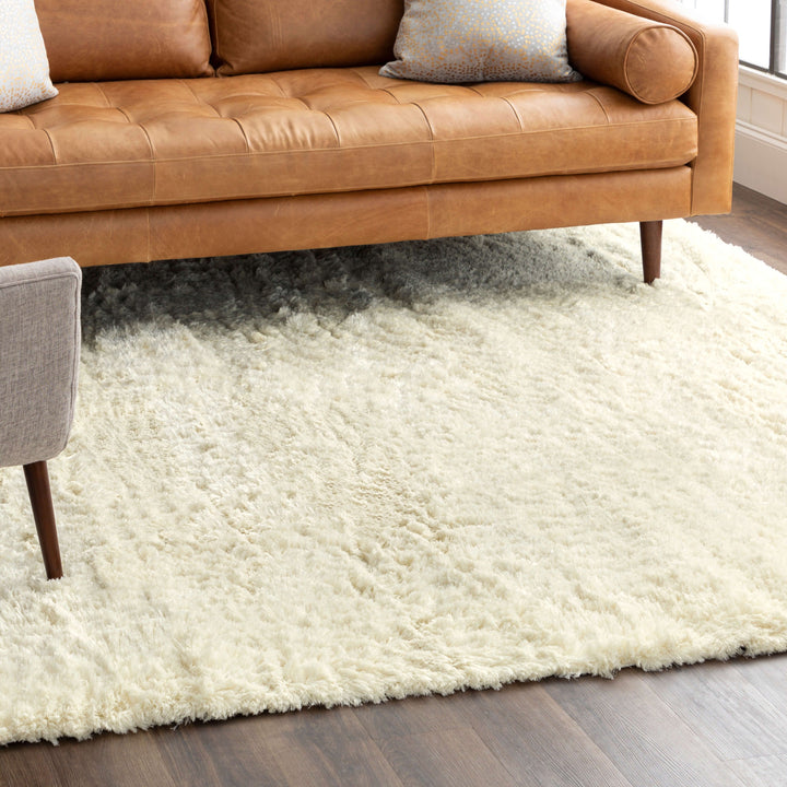 R1148-105 Karastan Billow Shag