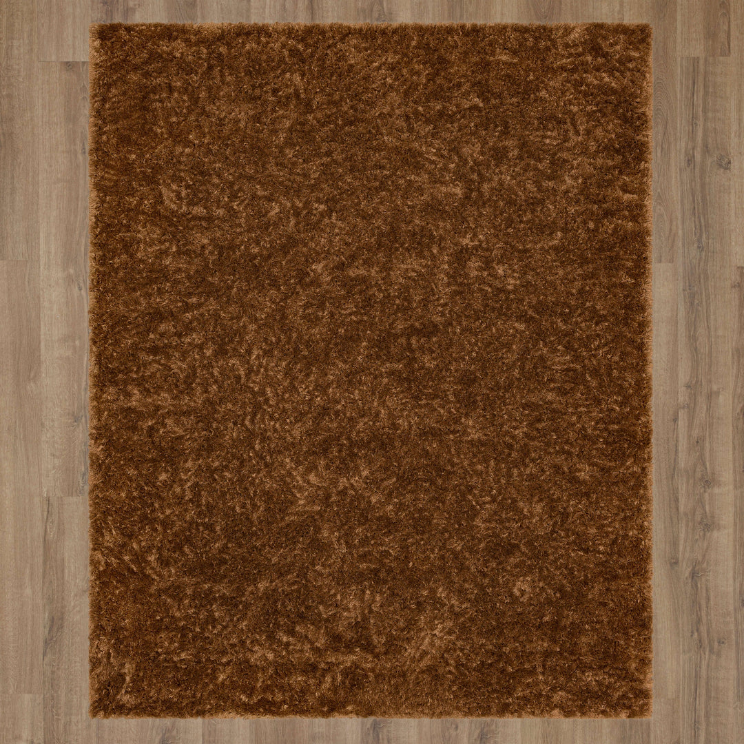 R1148-257 Karastan Billow Shag