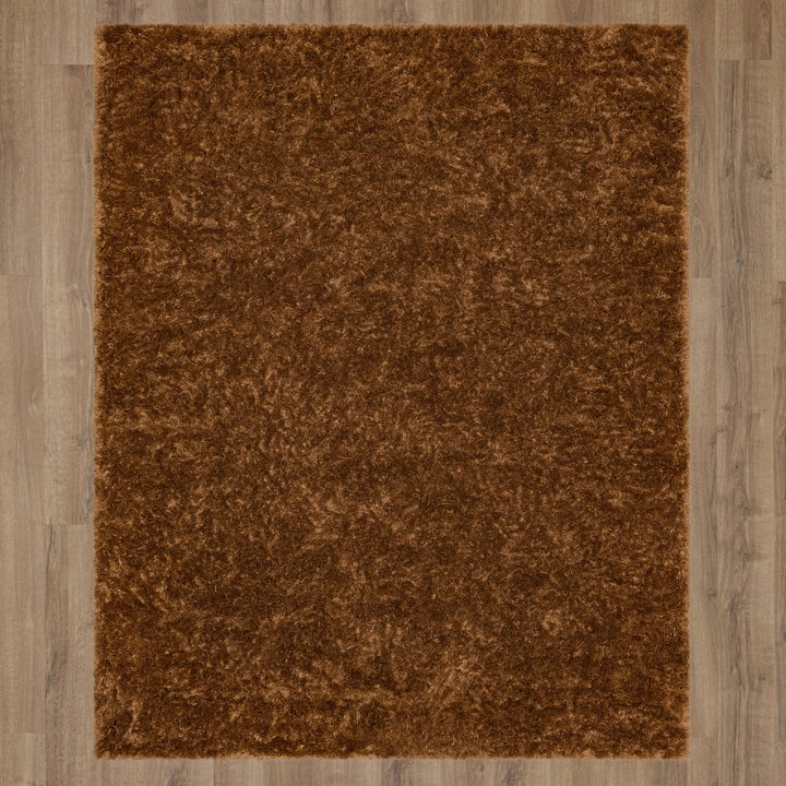 R1148-257 Karastan Billow Shag