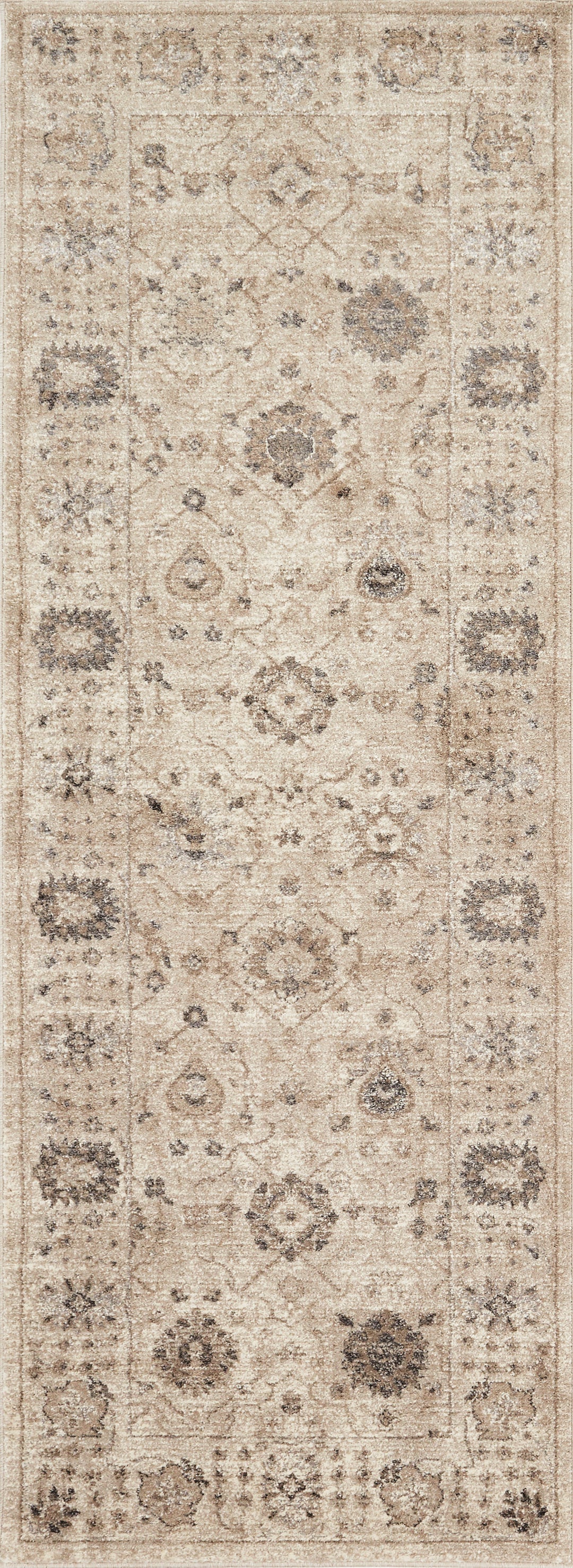 CQ-02 Loloi Century