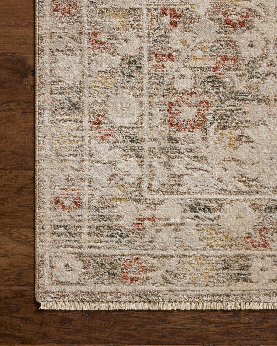 CLS-01 Loloi Clarisse