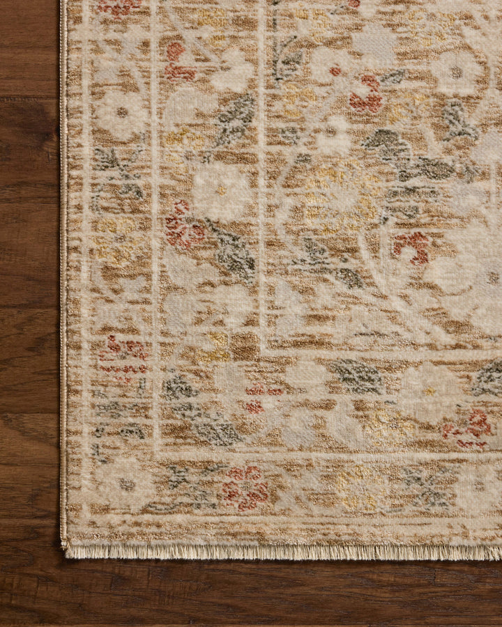 CLS-01 Loloi Clarisse