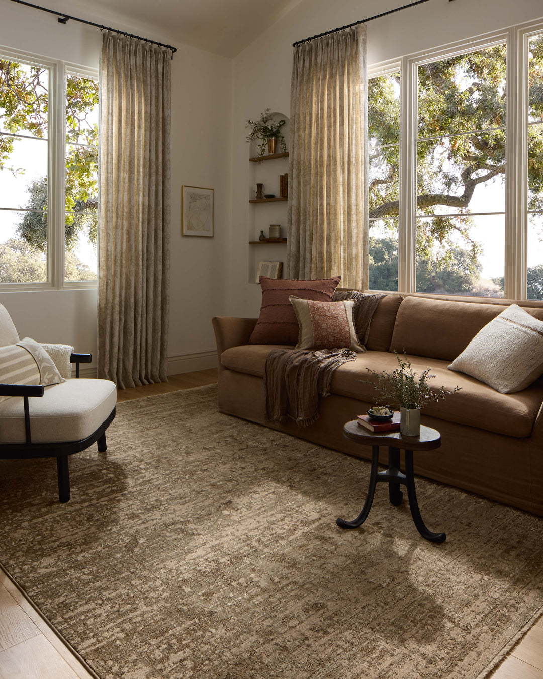 HYD-01 Loloi Haywood