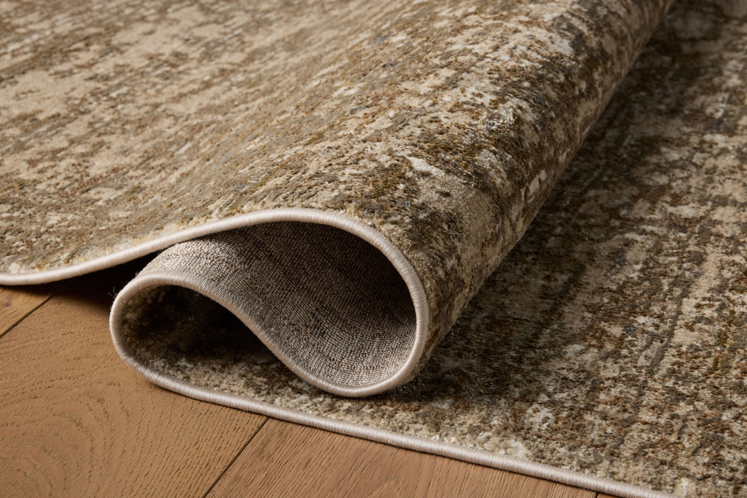 HYD-01 Loloi Haywood