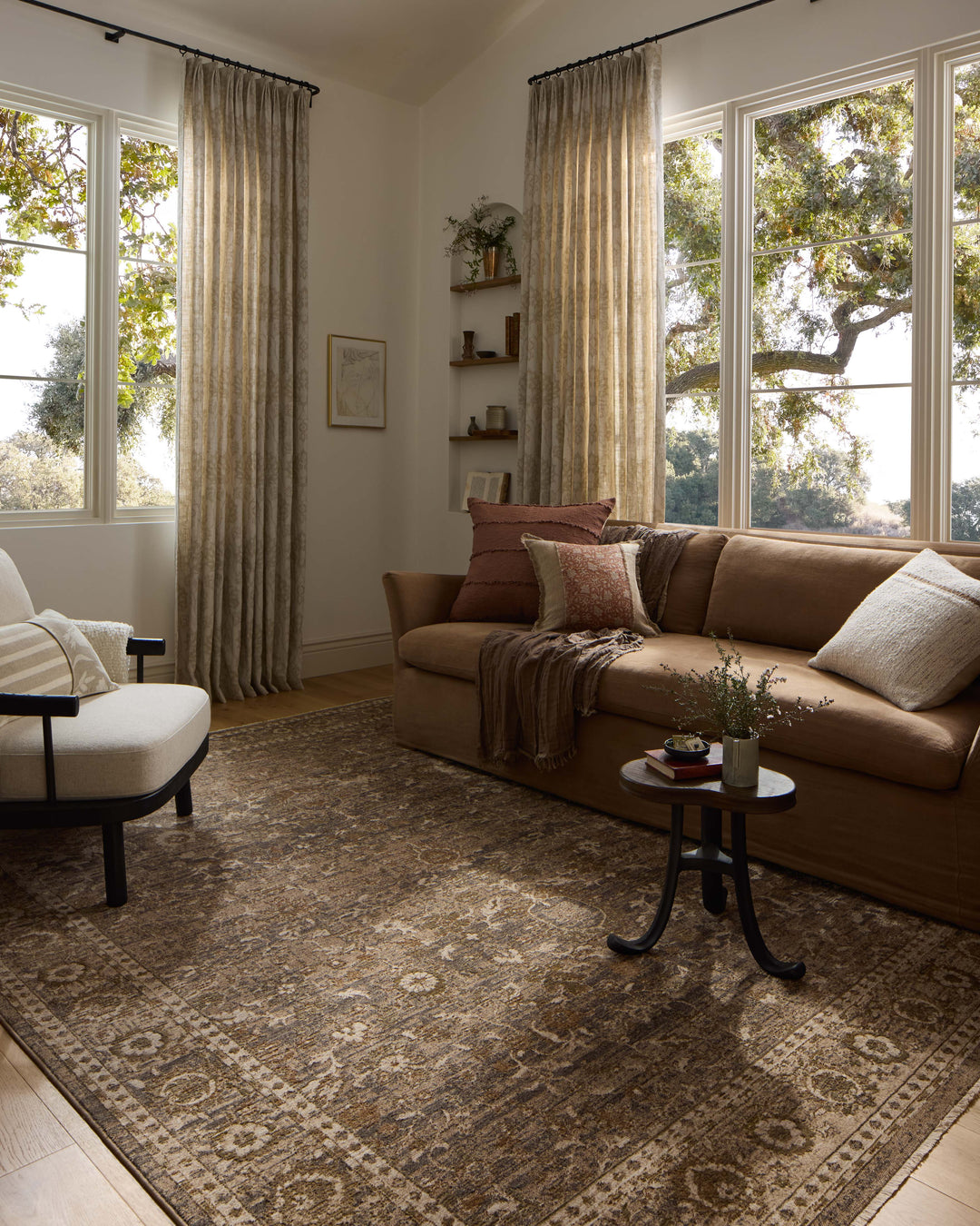 HYD-02 Loloi Haywood