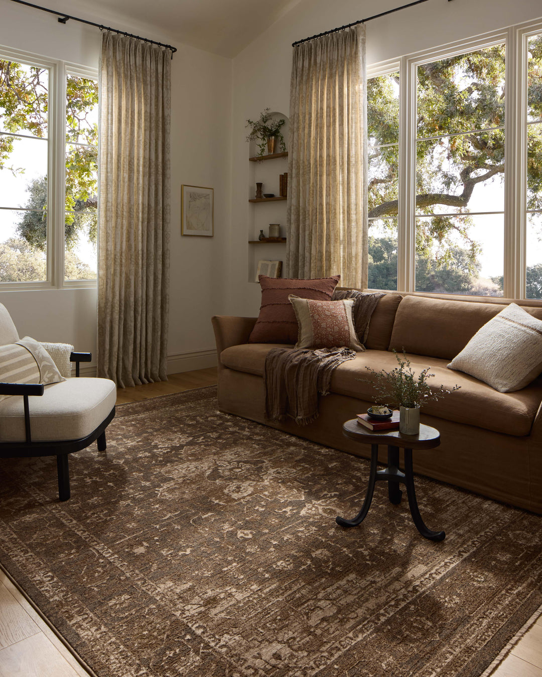 HYD-03 Loloi Haywood