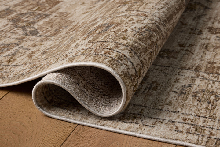 HYD-03 Loloi Haywood