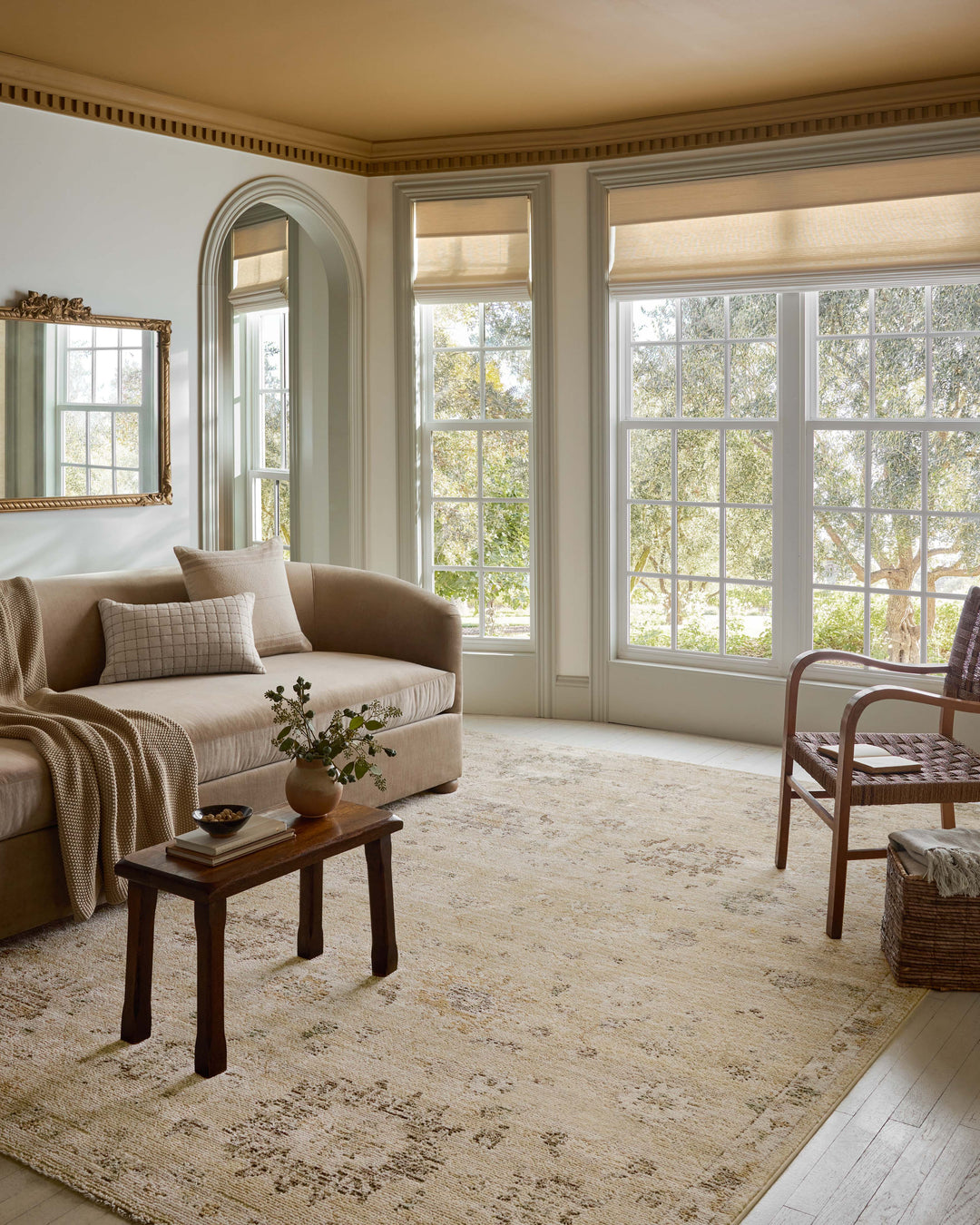 PAC-05 Magnolia Home Pace by Joanna Gaines