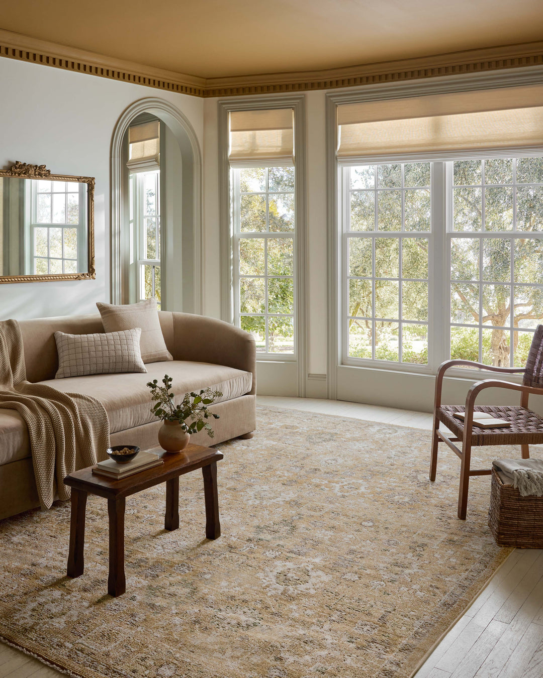 PAC-07 Magnolia Home Pace by Joanna Gaines