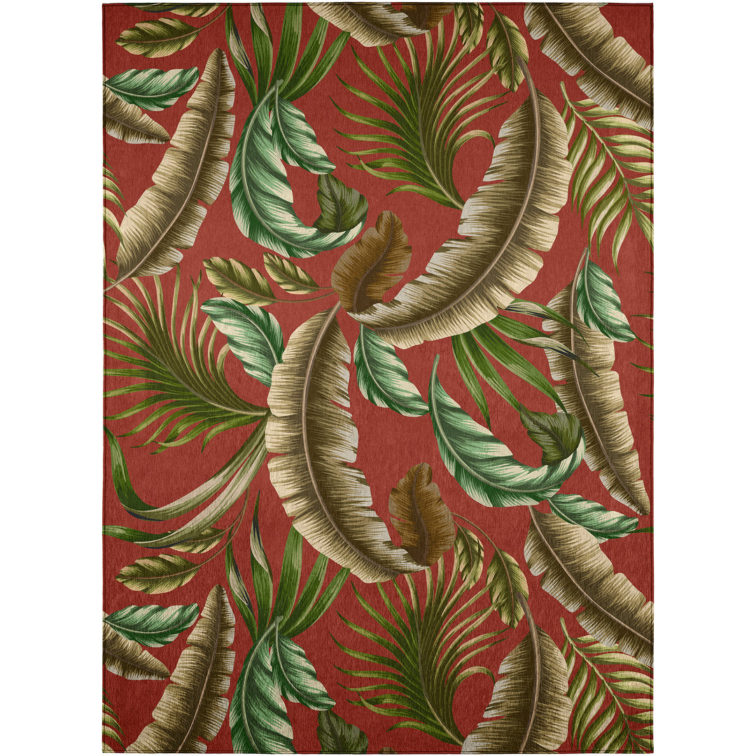 TC1 Dalyn Tropics