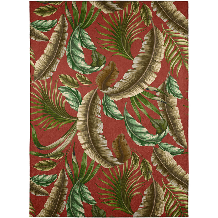 TC1 Dalyn Tropics