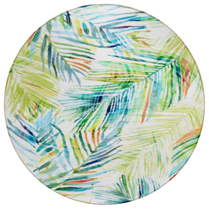 TC4 Dalyn Tropics