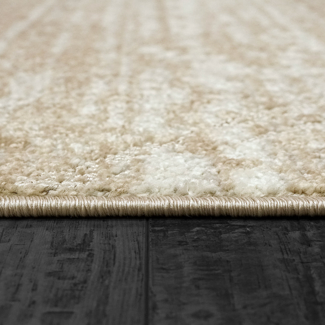 61797-670 Dynamic Rugs Momentum
