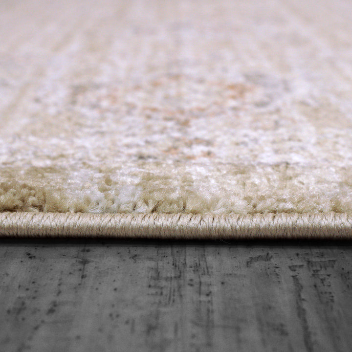 4180-989 Dynamic Rugs Rojin