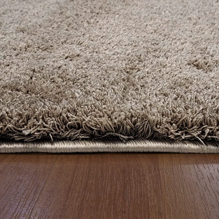 5900-115 Dynamic Rugs Silky Shag