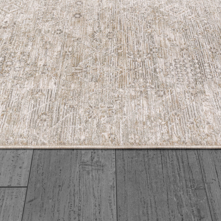 12043-899 Dynamic Rugs Dharma