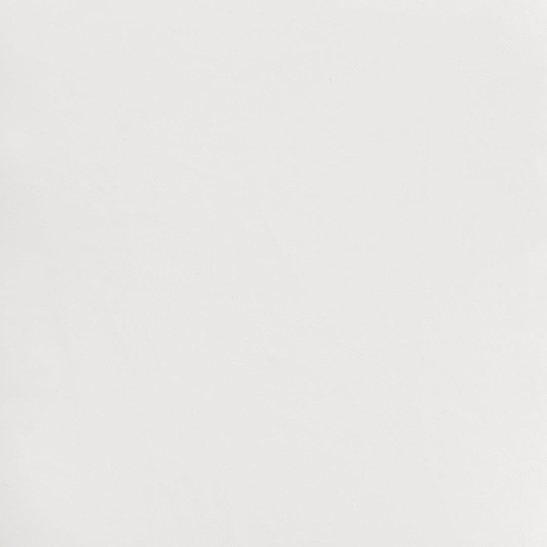 Zuo Miguel Dining Chair (Set of 2) White