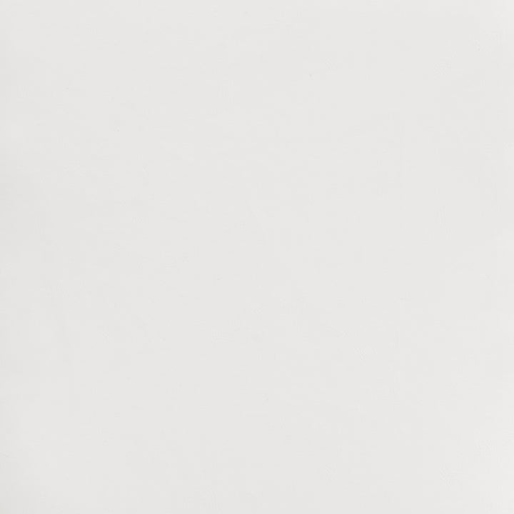 Zuo Miguel Dining Chair (Set of 2) White