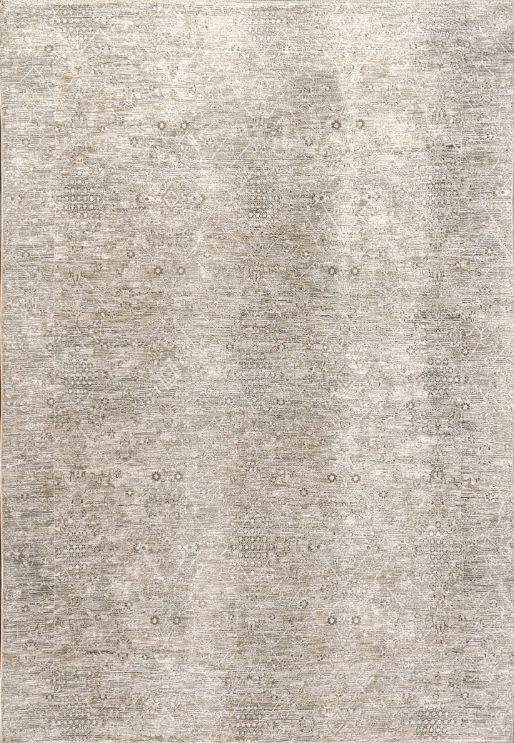 12043-899 Dynamic Rugs Dharma