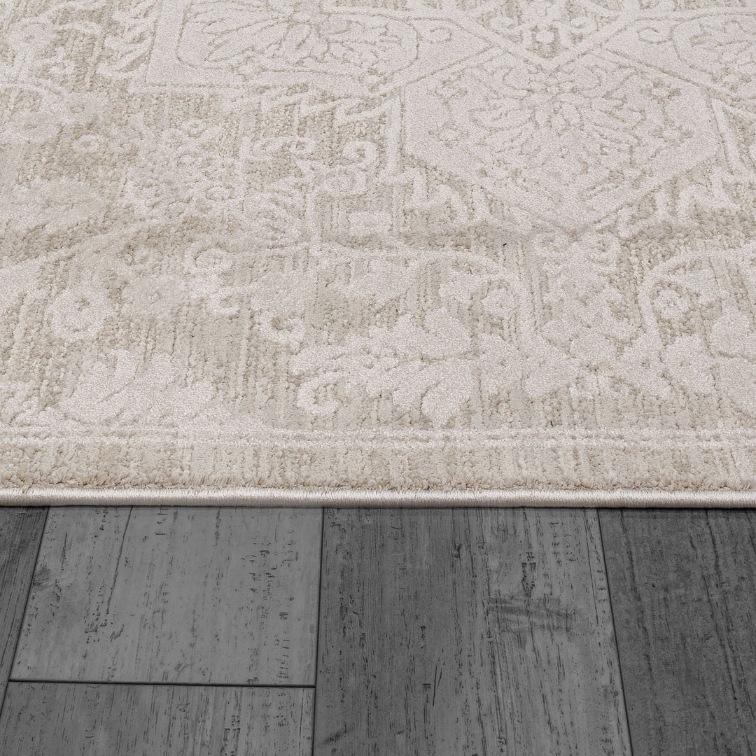 10602-100 Dynamic Rugs Hamilton