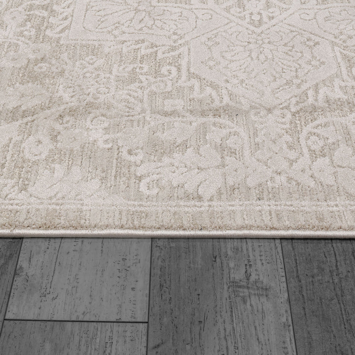 10602-100 Dynamic Rugs Hamilton