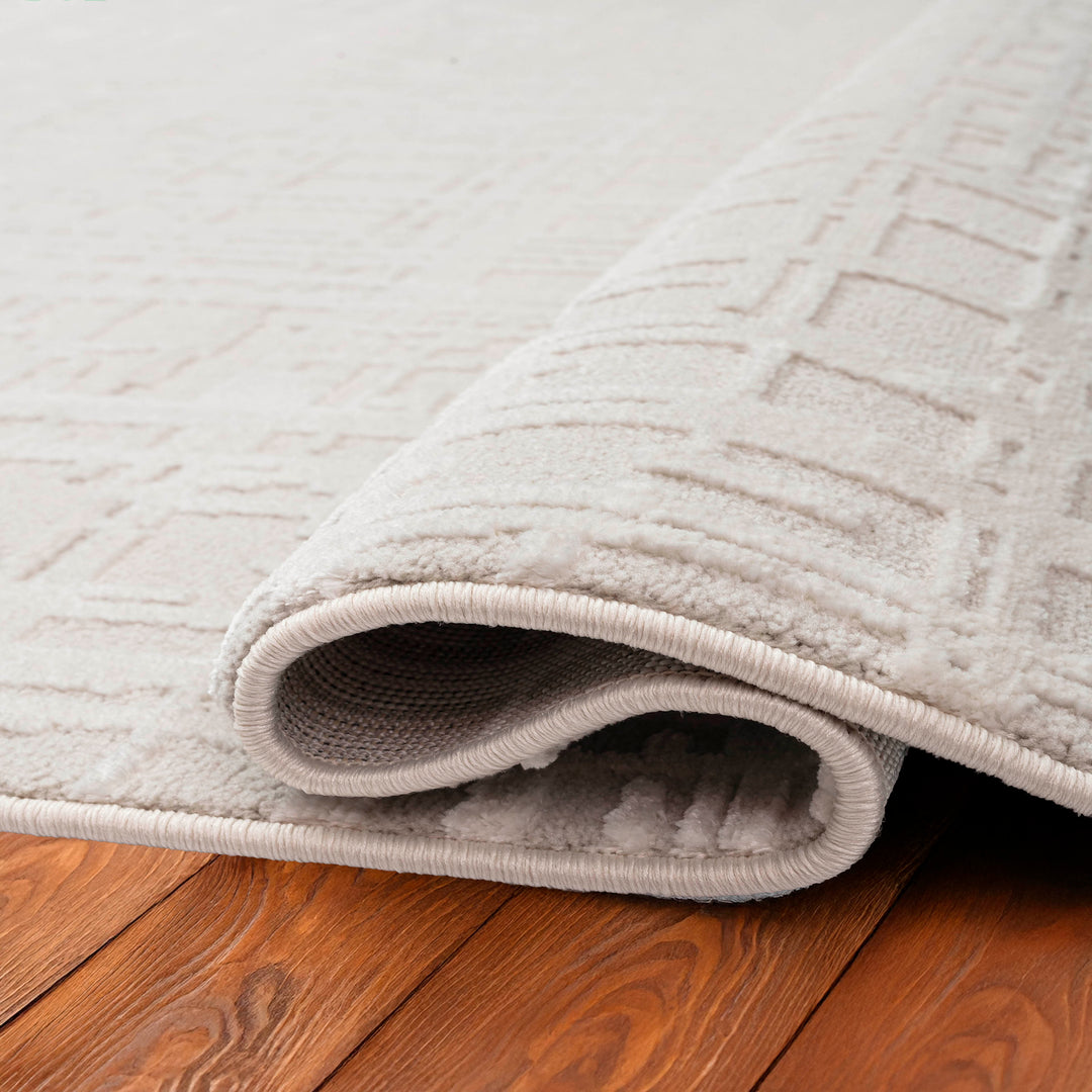 6928-810 Dynamic Rugs Timeless
