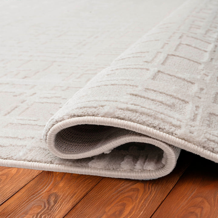 6928-810 Dynamic Rugs Timeless