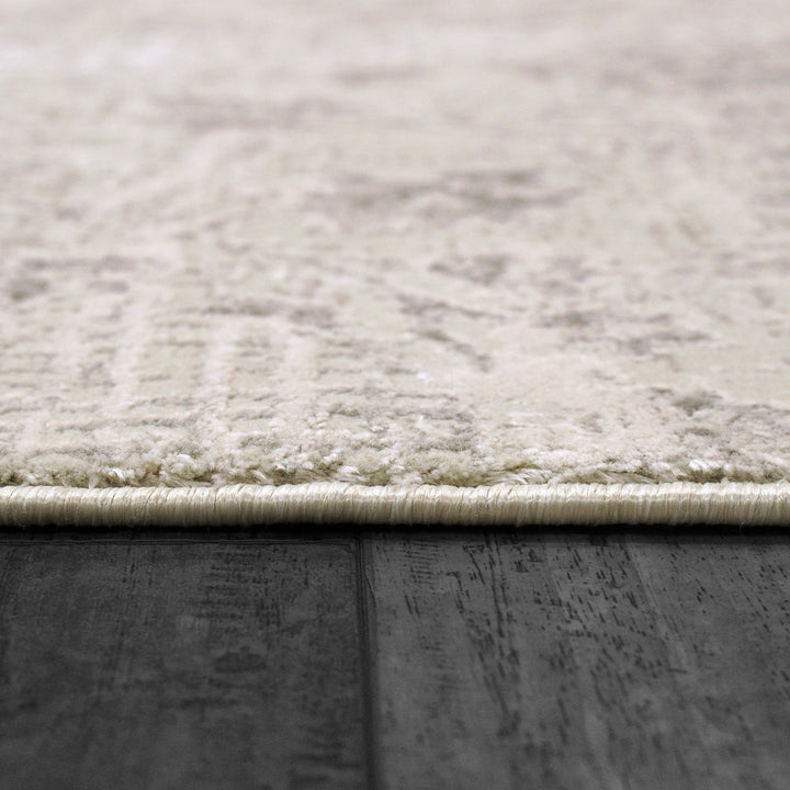 3157-190 Dynamic Rugs Renaissance