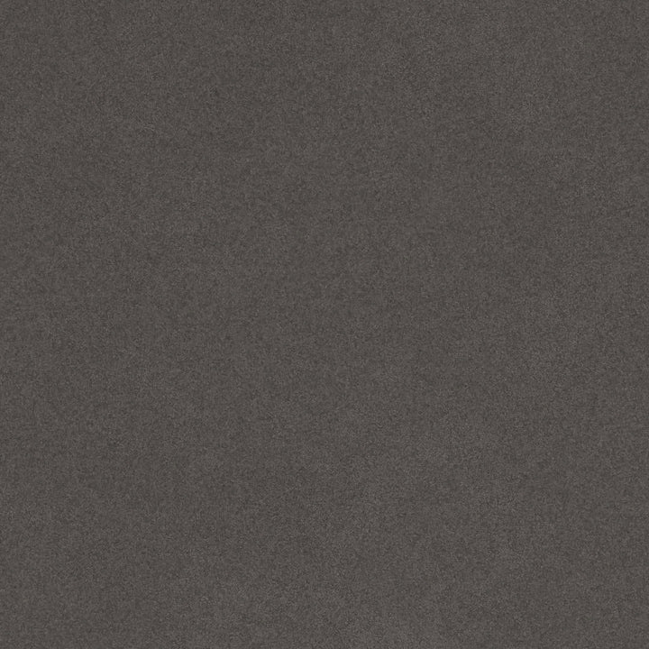 Zuo Coral Reef Accent Chair Gray