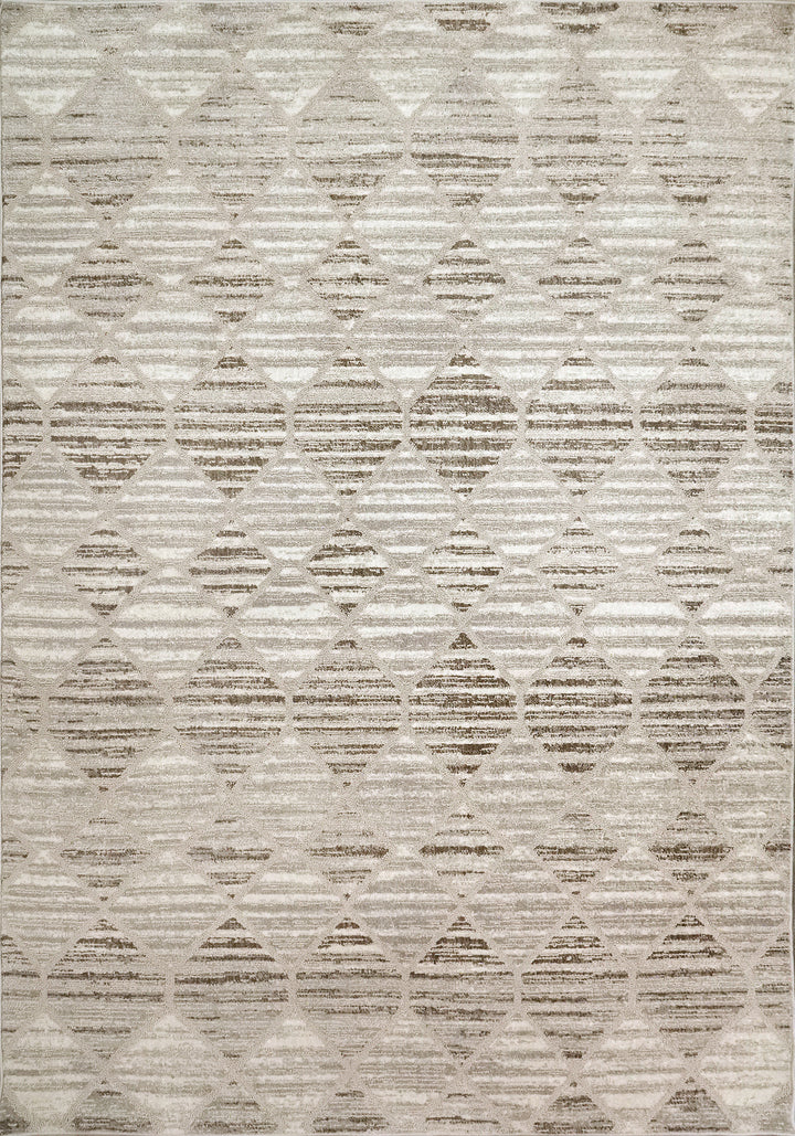 61798-095 Dynamic Rugs Momentum