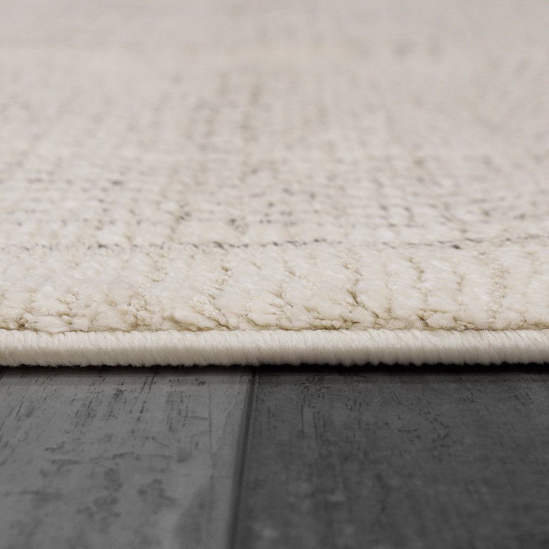 9801-890 Dynamic Rugs Monroe