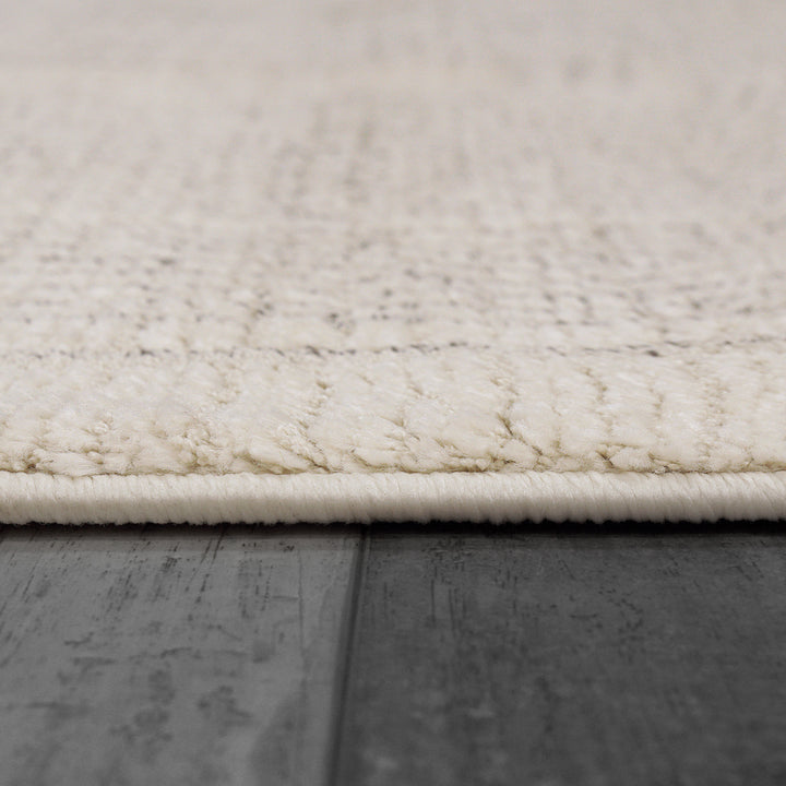 9801-890 Dynamic Rugs Monroe