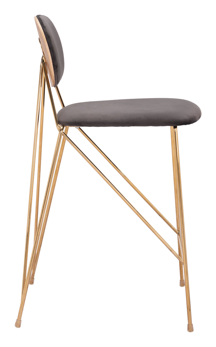Zuo Georges Counter Stool (Set of 2) Gray & Gold